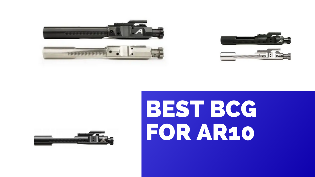 Best AR-10 Bolt Carrier Group