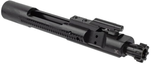 Evolve Weapons Systems Bolt Carrier Group